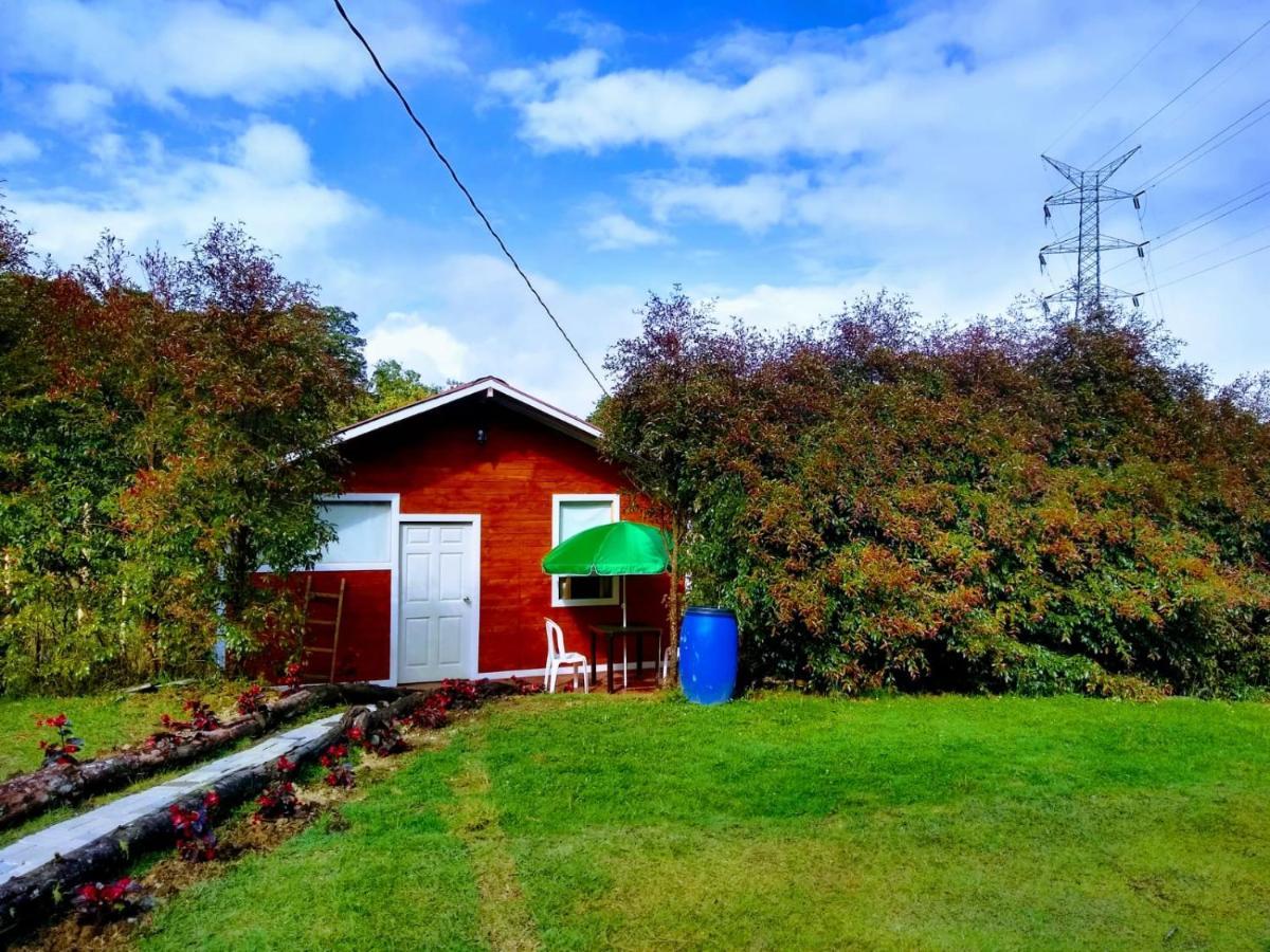 Hospedaje Santaelena -Chalets De Montana- Santa Elena (Antioquia) Exterior foto