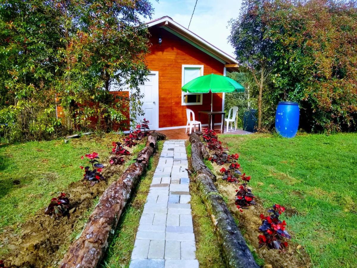 Hospedaje Santaelena -Chalets De Montana- Santa Elena (Antioquia) Exterior foto