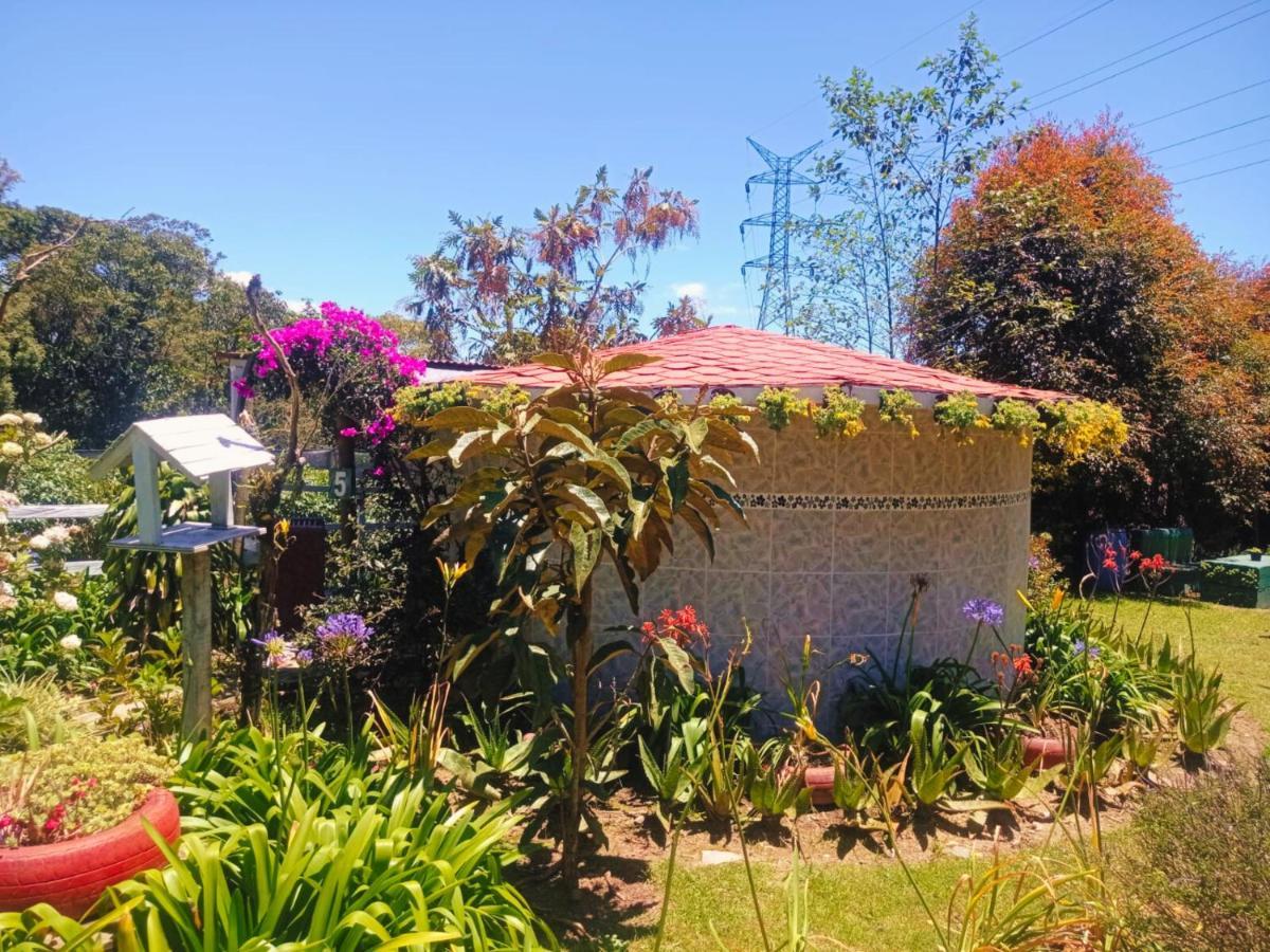 Hospedaje Santaelena -Chalets De Montana- Santa Elena (Antioquia) Exterior foto