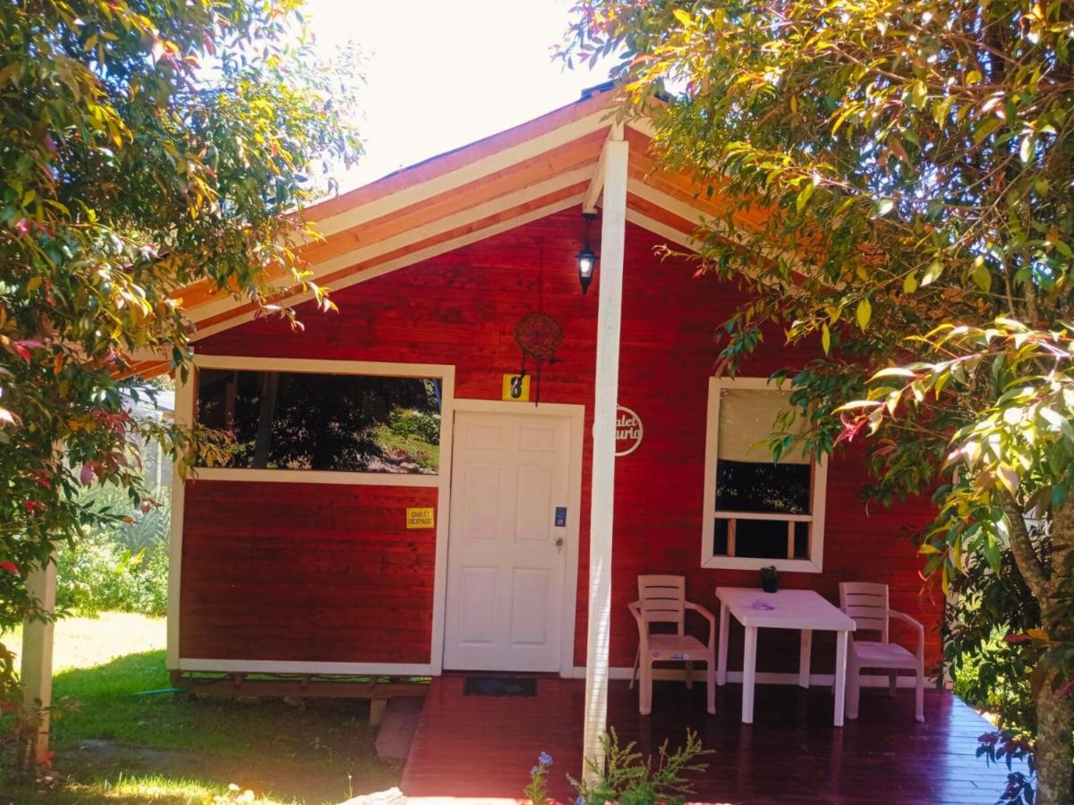 Hospedaje Santaelena -Chalets De Montana- Santa Elena (Antioquia) Exterior foto